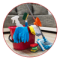 Úklidové služby